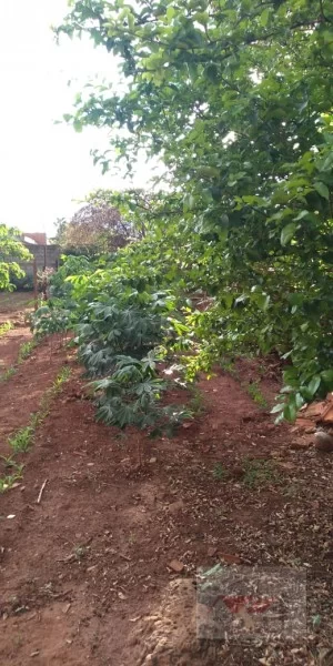 Casa à venda - América