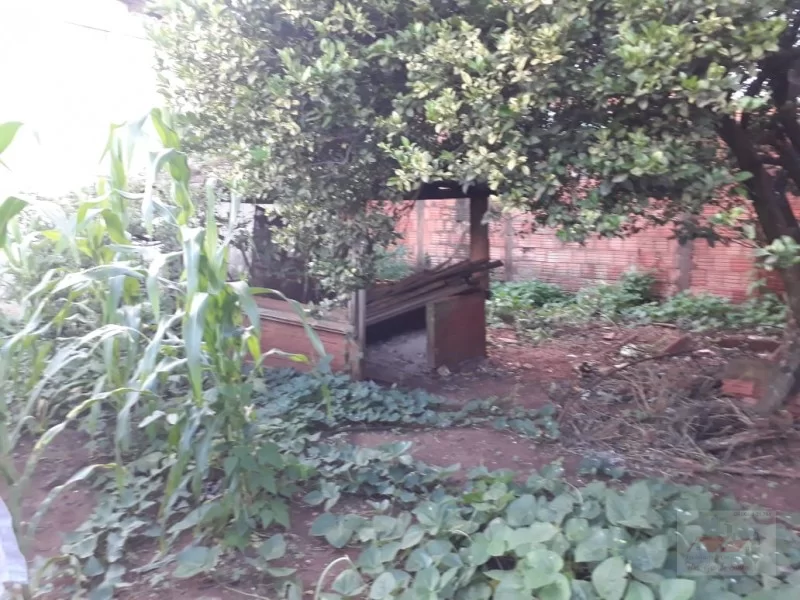 Casa à venda - Nova Barretos